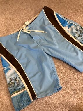 Aaron Chang Light Blue Palm Print Swim / board Shorts. EUC!